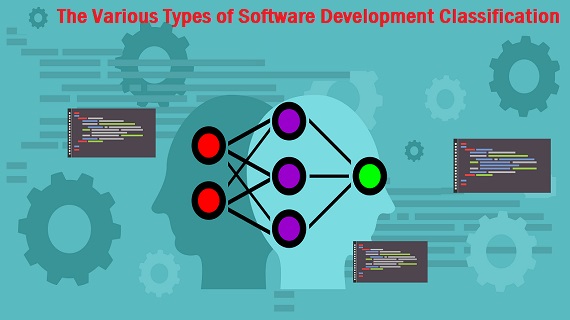 Software development company